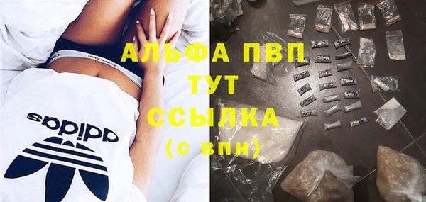 бошки Новодвинск