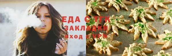 крисы Новозыбков